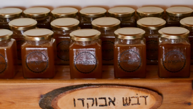 הכוורת