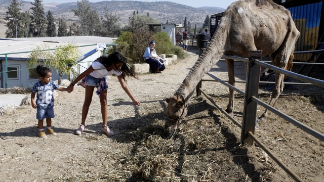 חוות עמק איילון