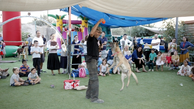 חוות עמק איילון