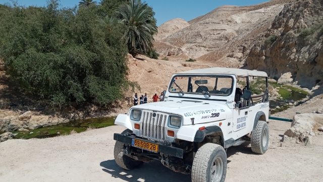 בנצי טיולי גיפים