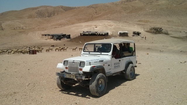 בנצי טיולי גיפים