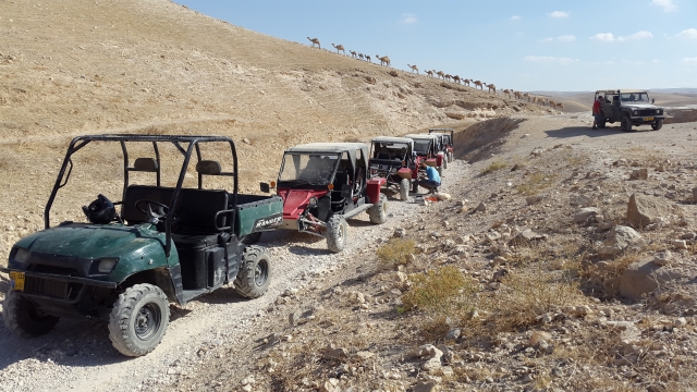 כנען תיירות