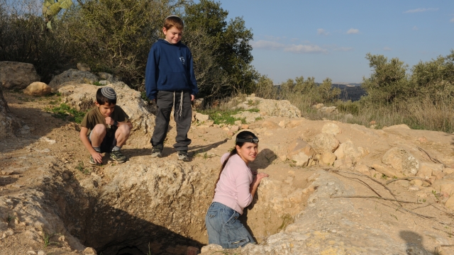 גבעת היקבים