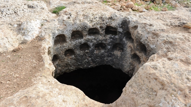 גבעת היקבים