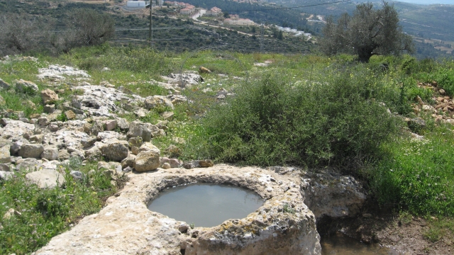 גבעת היקבים