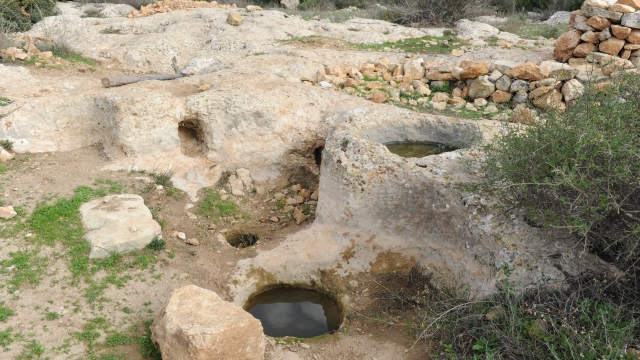 גבעת היקבים