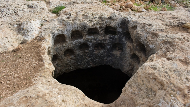 גבעת היקבים