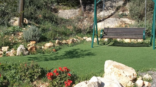 בין עצי היער