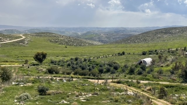 הבית הצהוב