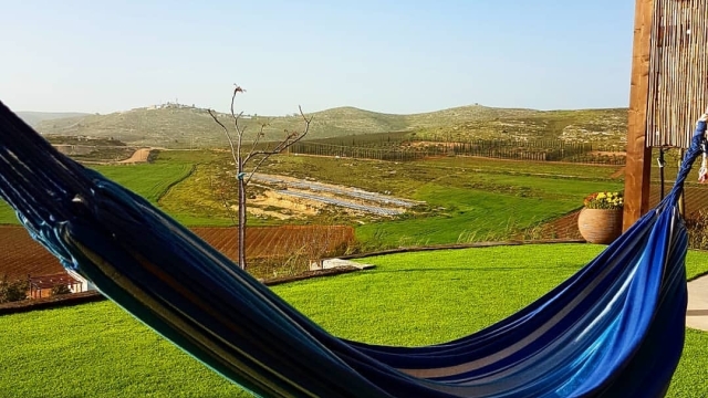 שלוות העמק
