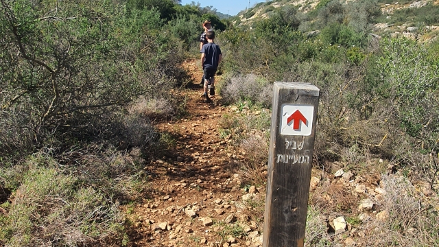 שביל המעיינות