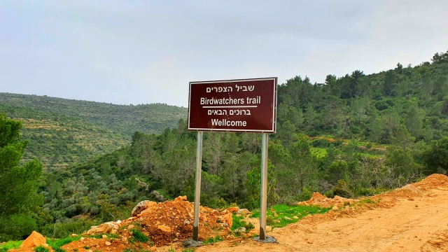 שביל הצפרים