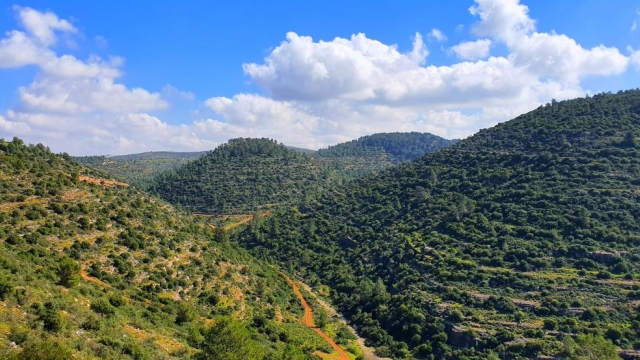 שביל הצפרים
