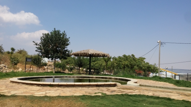 מעיין הכרמים