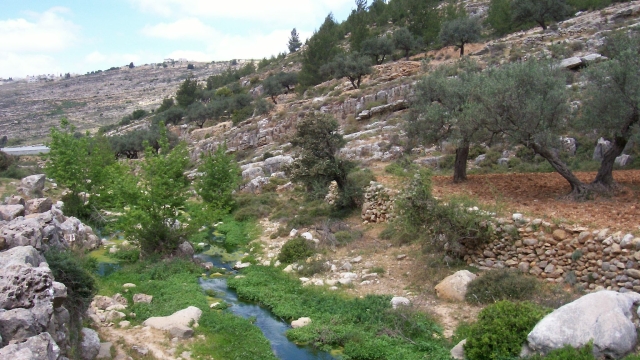 מסלול נחל דלבים