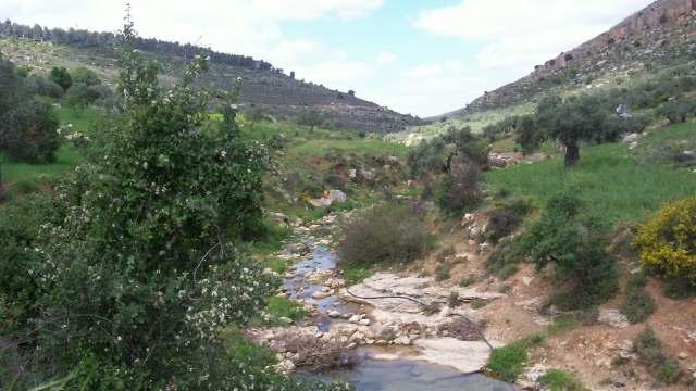 מסלול נחל דלבים