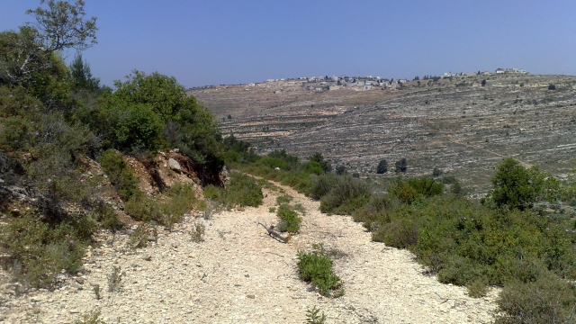 מסלול נחל דלבים