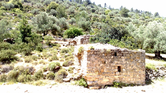 מסלול נחל דלבים