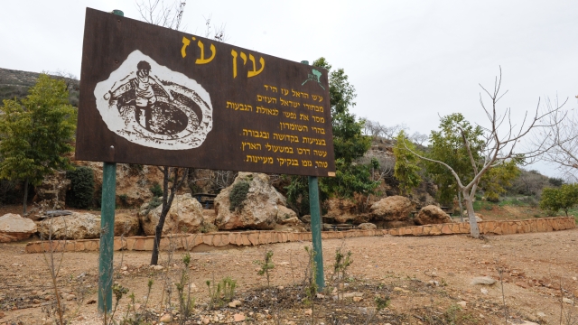 עין עוז