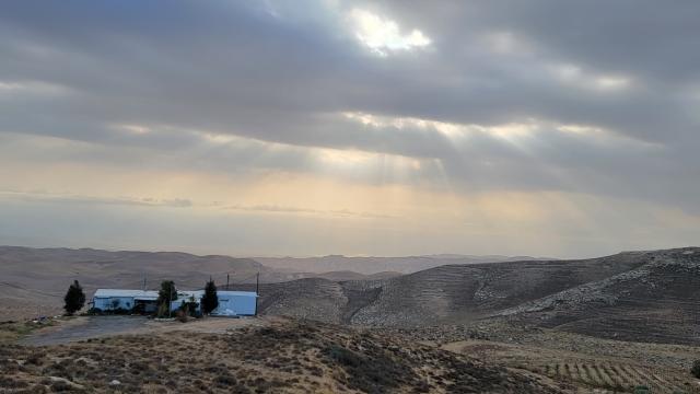 סטודיו אורלי ליבנה