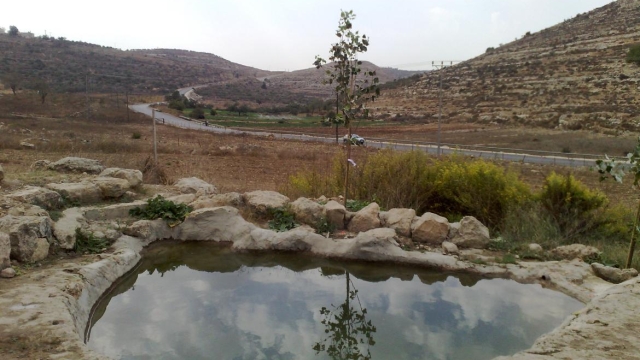 מעיין מאיר