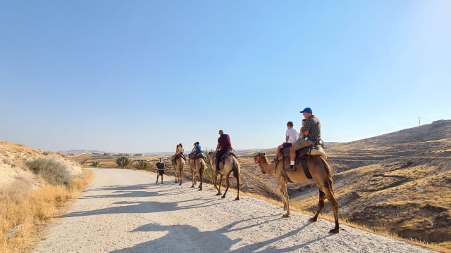ארץ בראשית