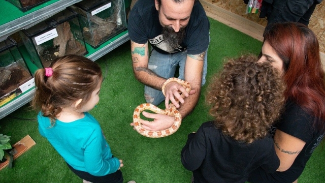 Reptile Land