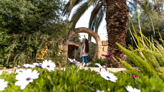 שילה הקדומה