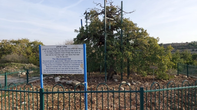 אתר עתיקות חלום יעקב