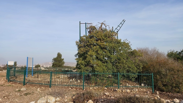אתר עתיקות חלום יעקב