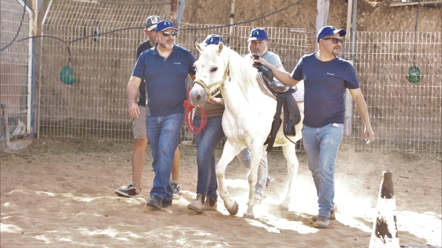 אצל רותי בחווה