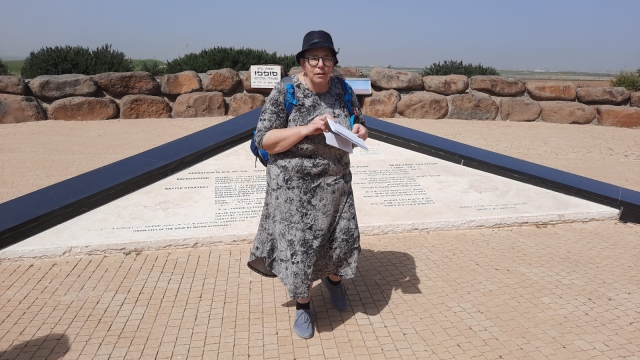 מירי פקטור