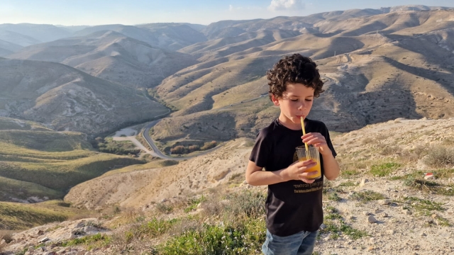 מצפה אורית