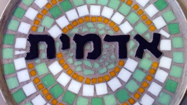 סטודיו פסיפס אנושי
