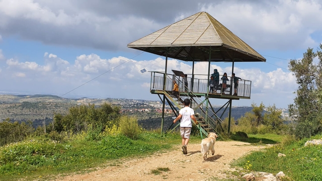 מגבעת היקבים למעין טלמון
