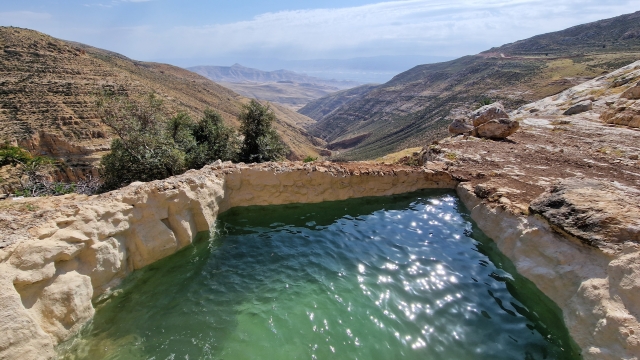 עין ראשש
