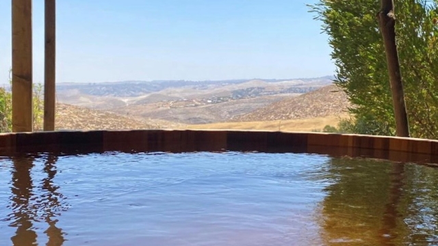 הבית הצהוב